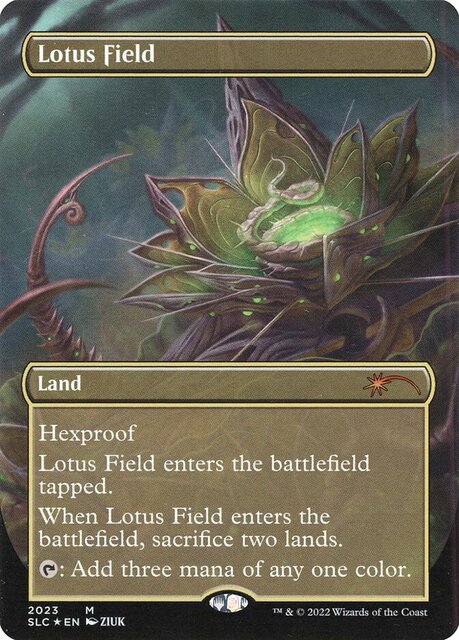 Lotus Field - 2023 - Foil